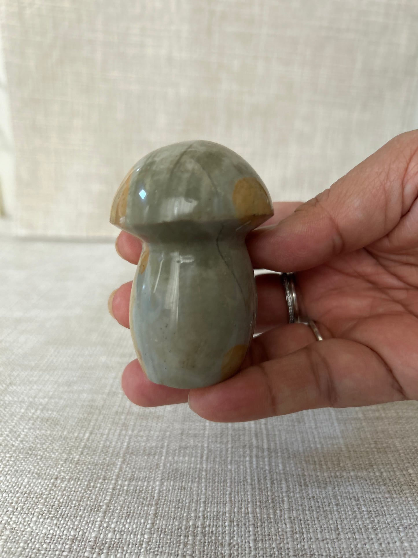 Jasper Mushrooms (Medium)