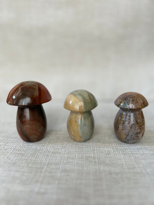 Jasper Mushrooms (Large)