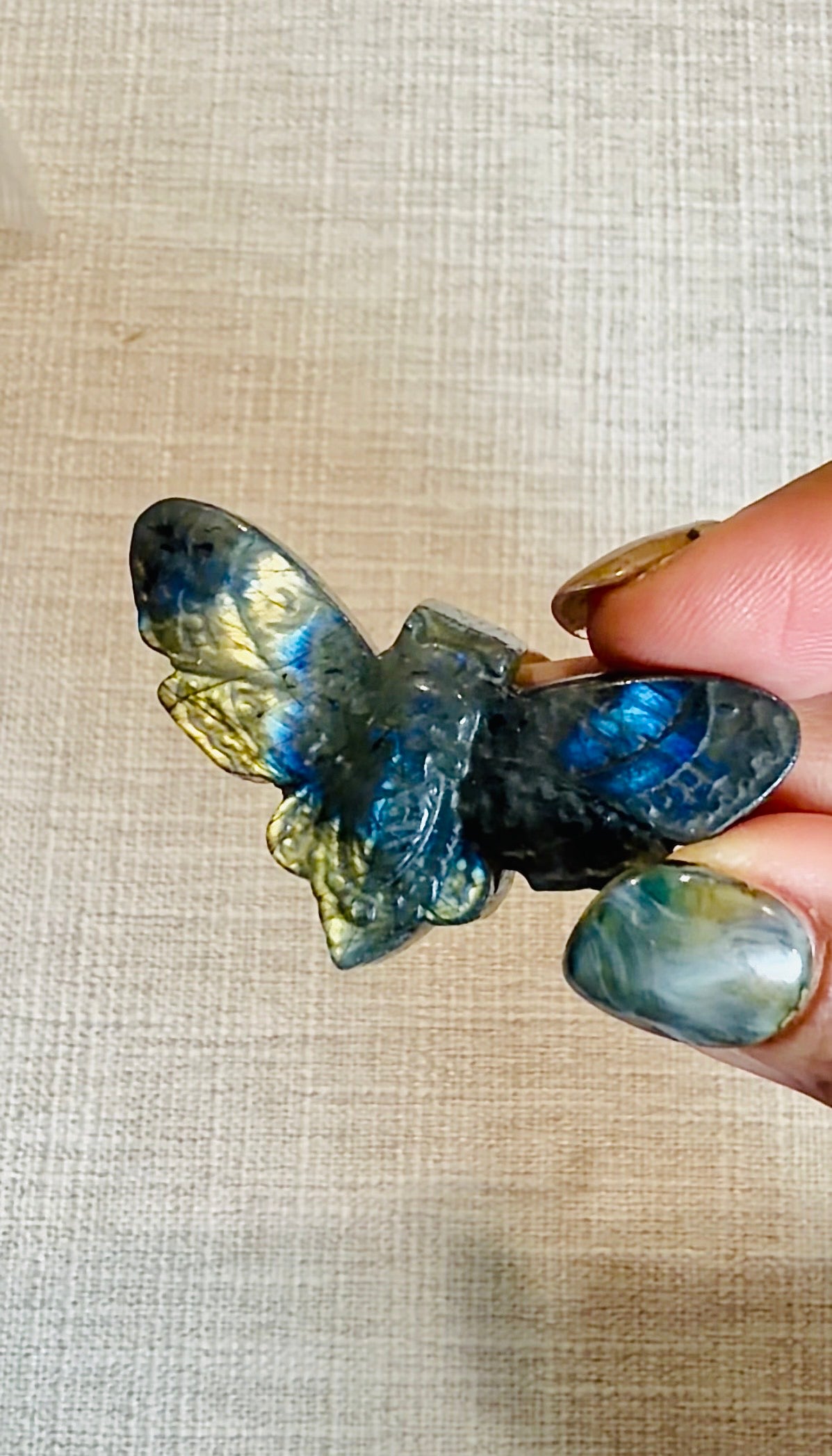 Flashy Labradorite Moth Carving