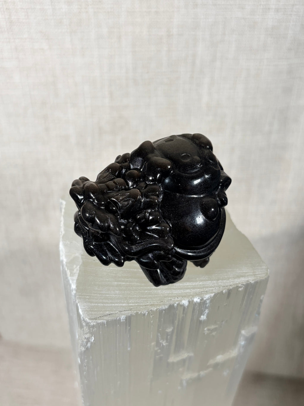 Silver Sheen Obsidian Dragon Turtle (A)