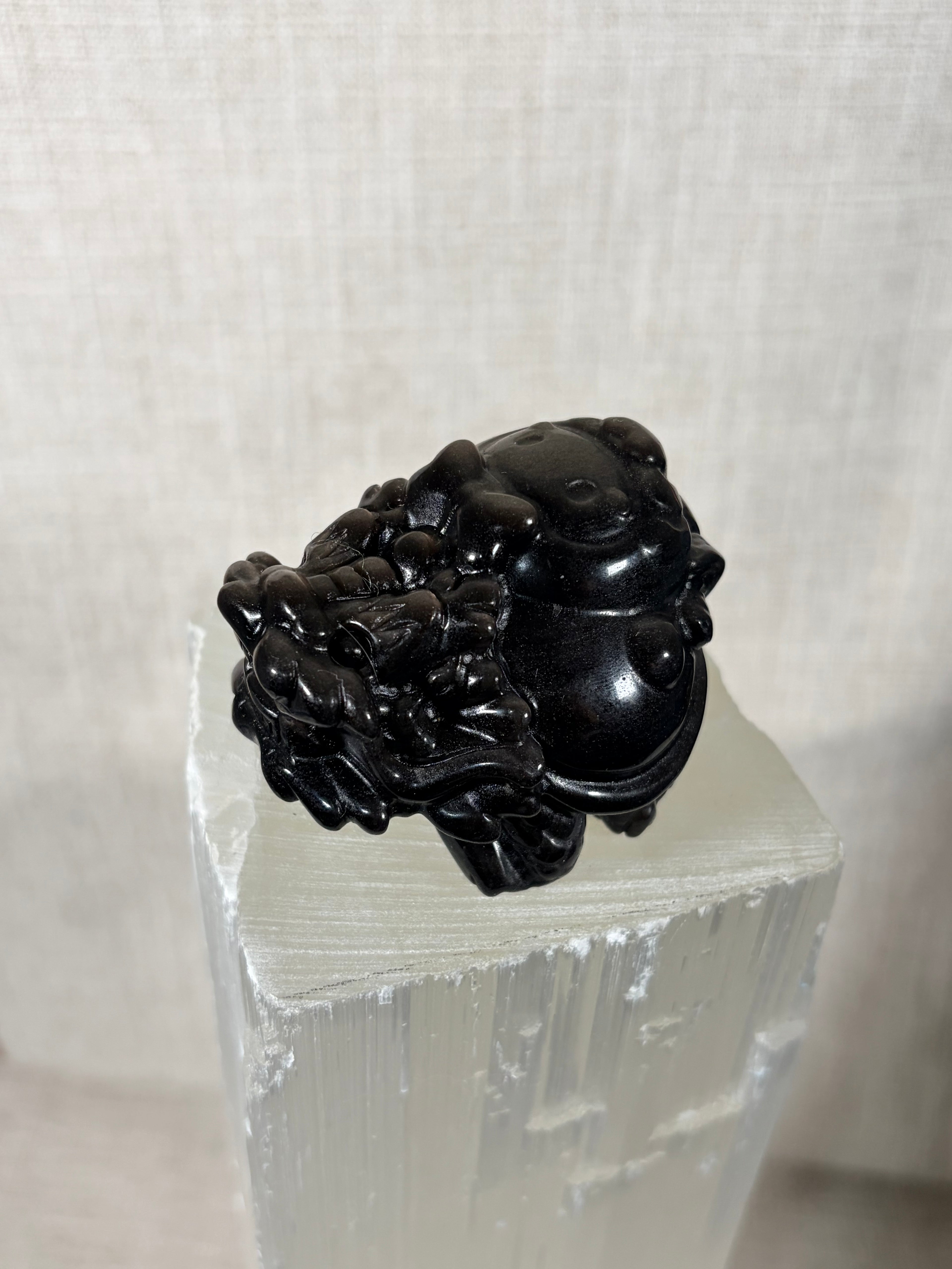 Silver Sheen Obsidian Dragon Turtle (A)