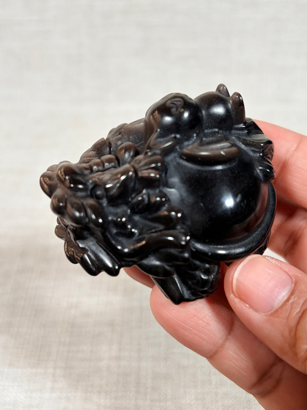 Silver Sheen Obsidian Dragon Turtle (B)