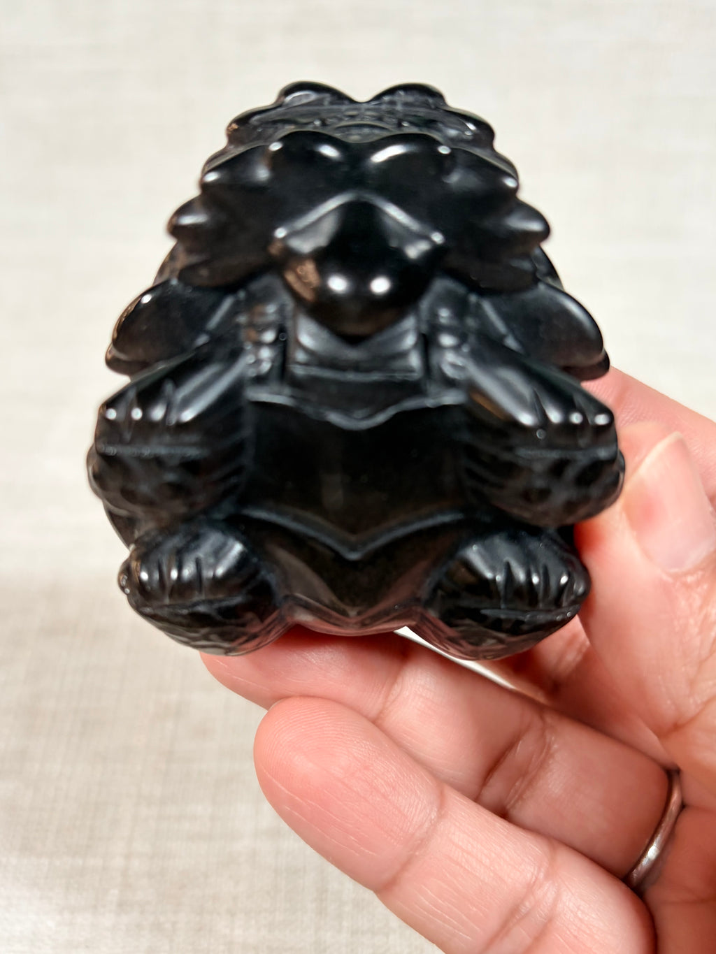 Silver Sheen Obsidian Dragon Turtle (B)