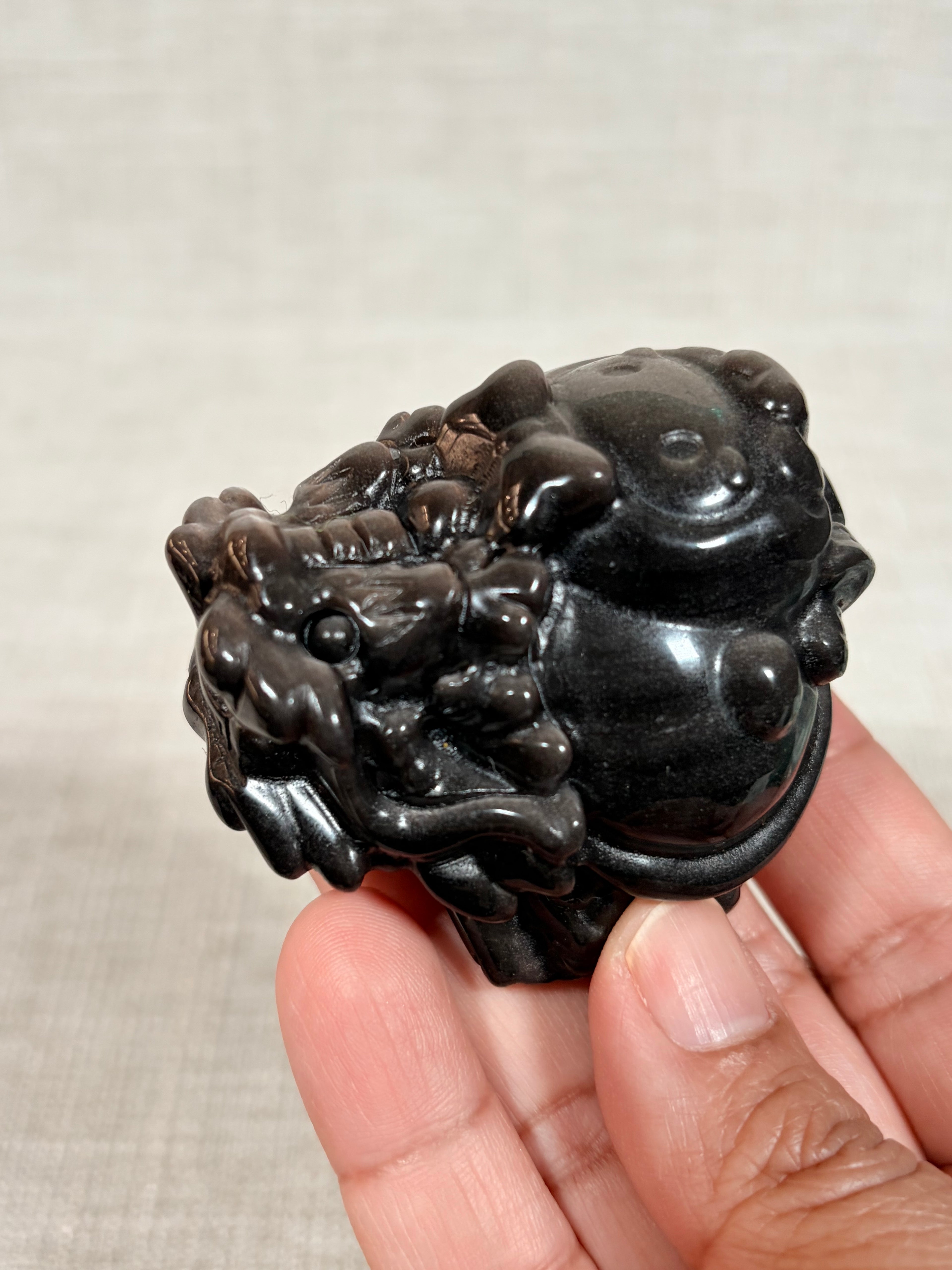 Silver Sheen Obsidian Dragon Turtle (A)