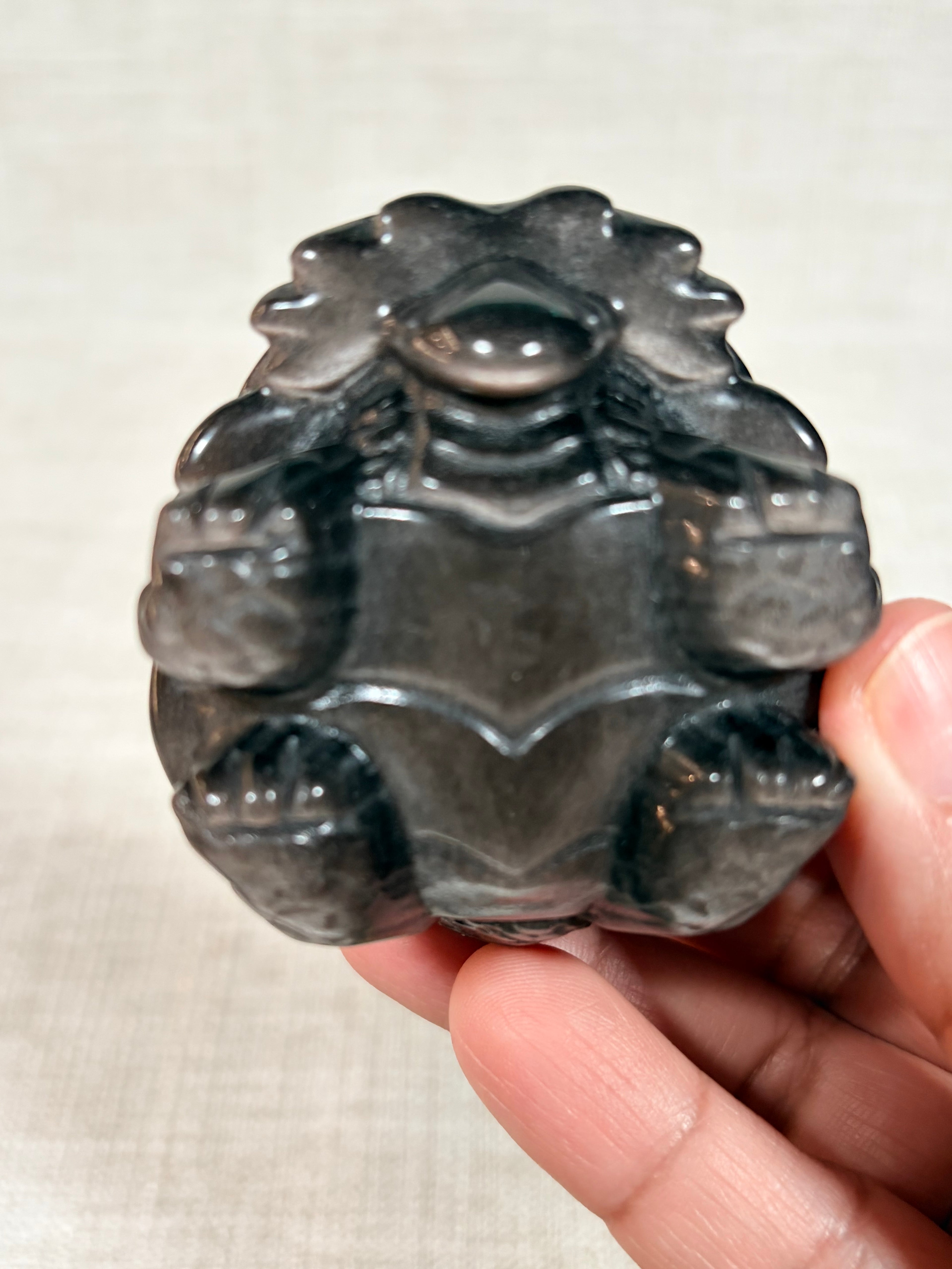Silver Sheen Obsidian Dragon Turtle (A)