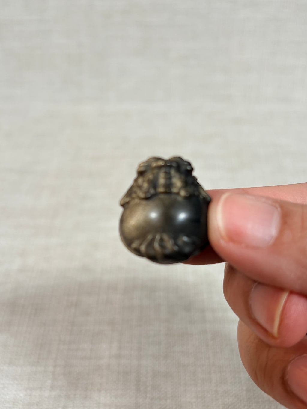 Golden Obsidian Dragon Turtle (micro)