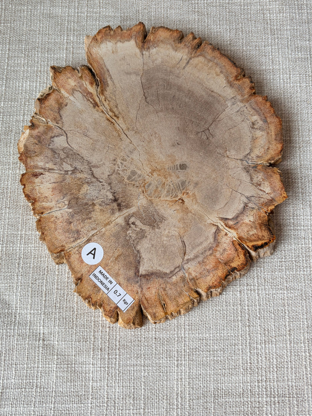 Petrified Wood Slab (A)