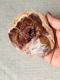 Petrified Wood Mini Slab (C)