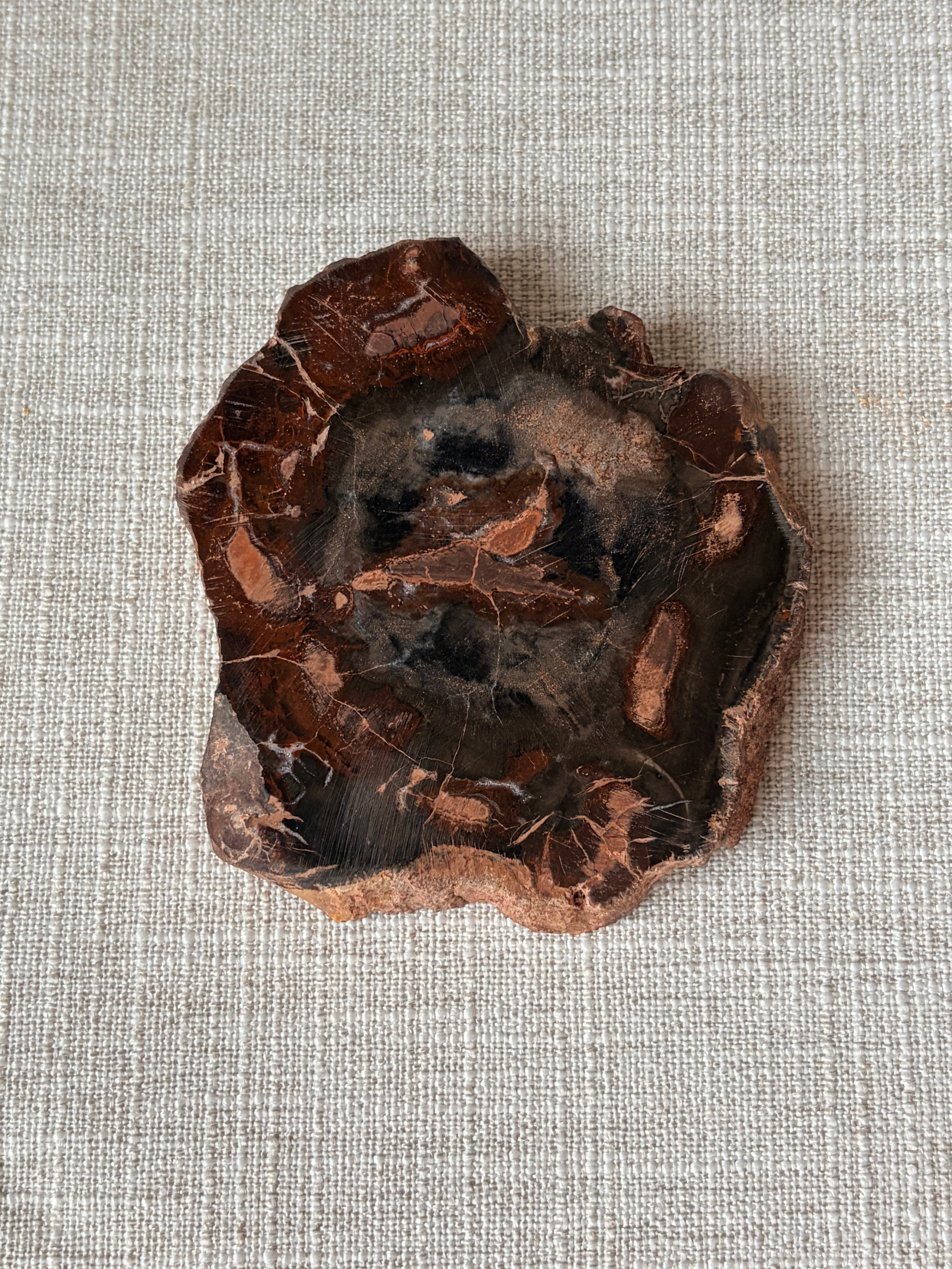 Petrified Wood Mini Slab (D)