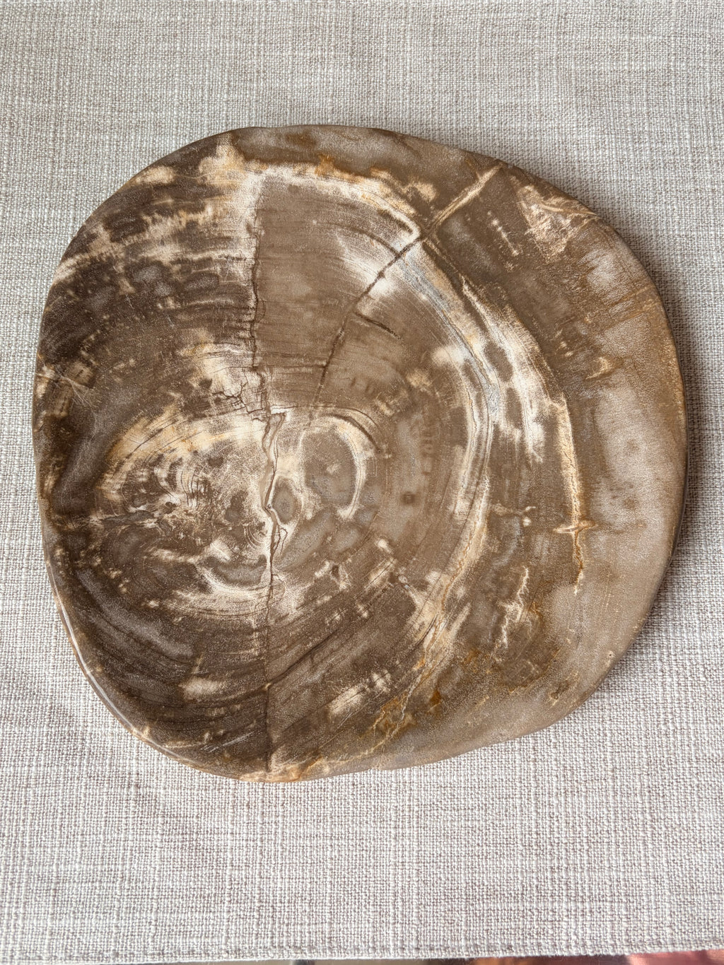 Petrified Wood Plate (G)