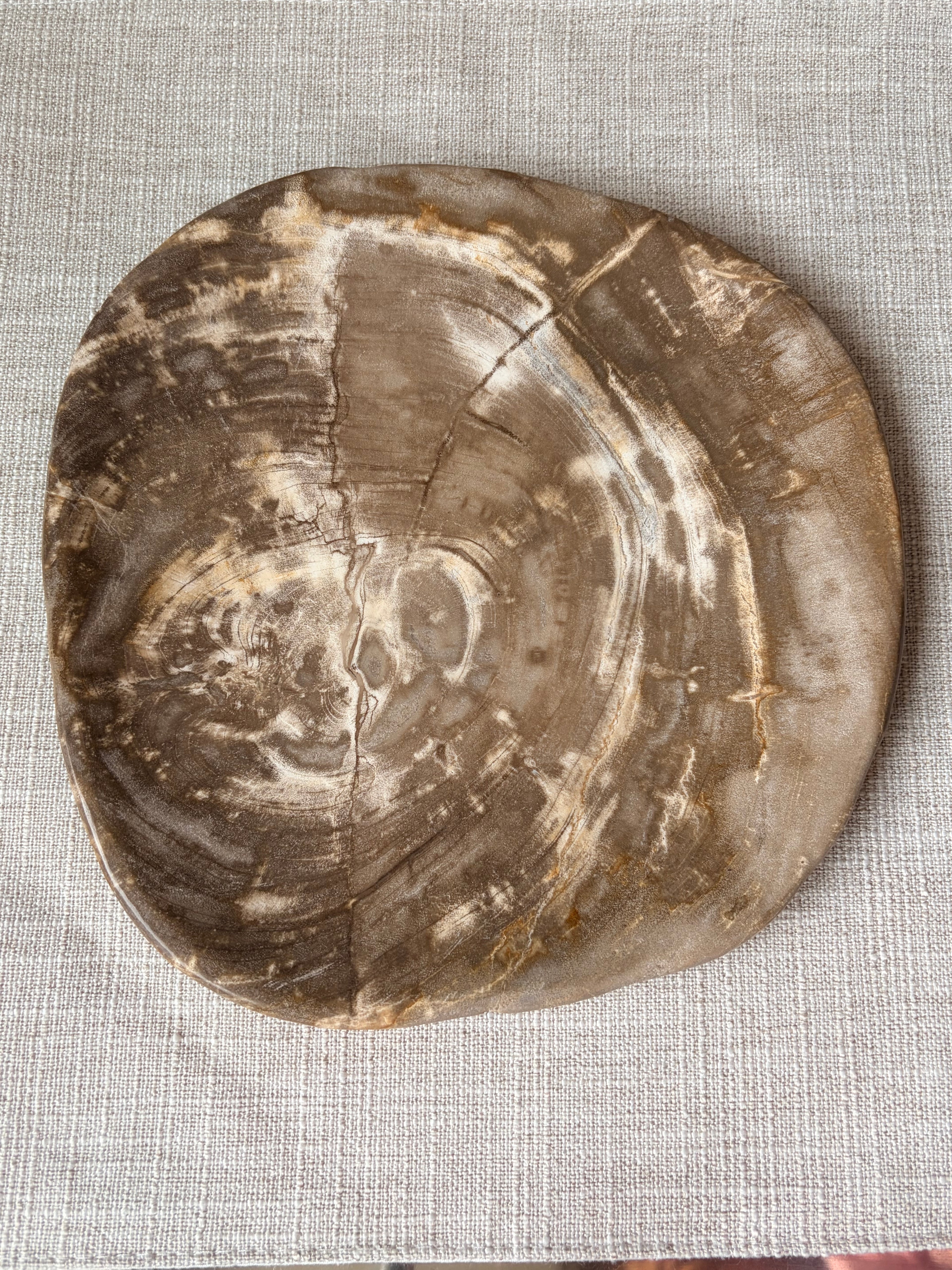 Petrified Wood Plate (G)