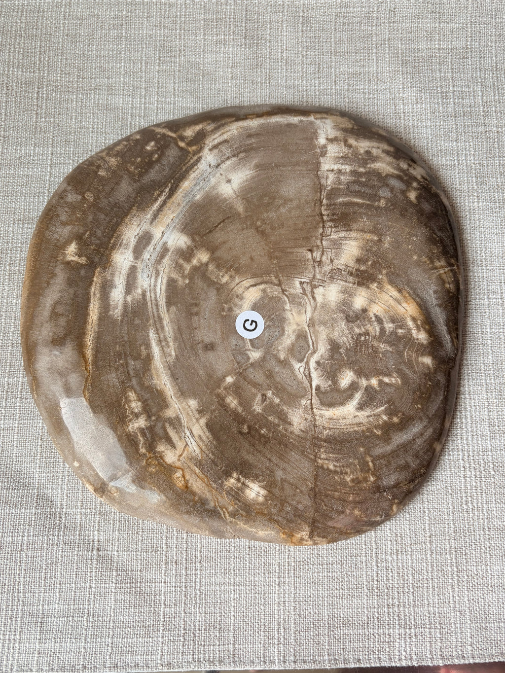 Petrified Wood Plate (G)