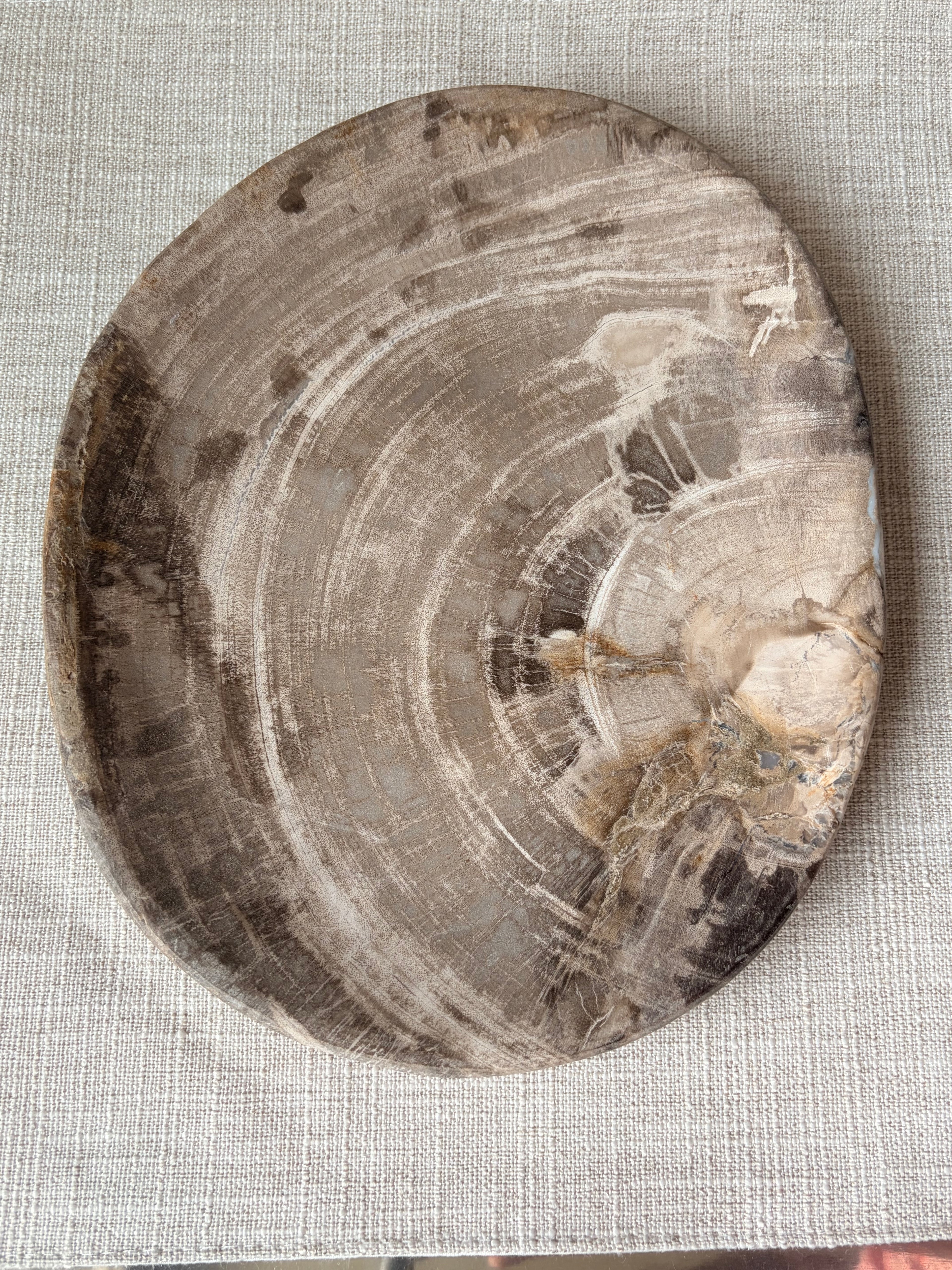 Petrified Wood Plate (H)