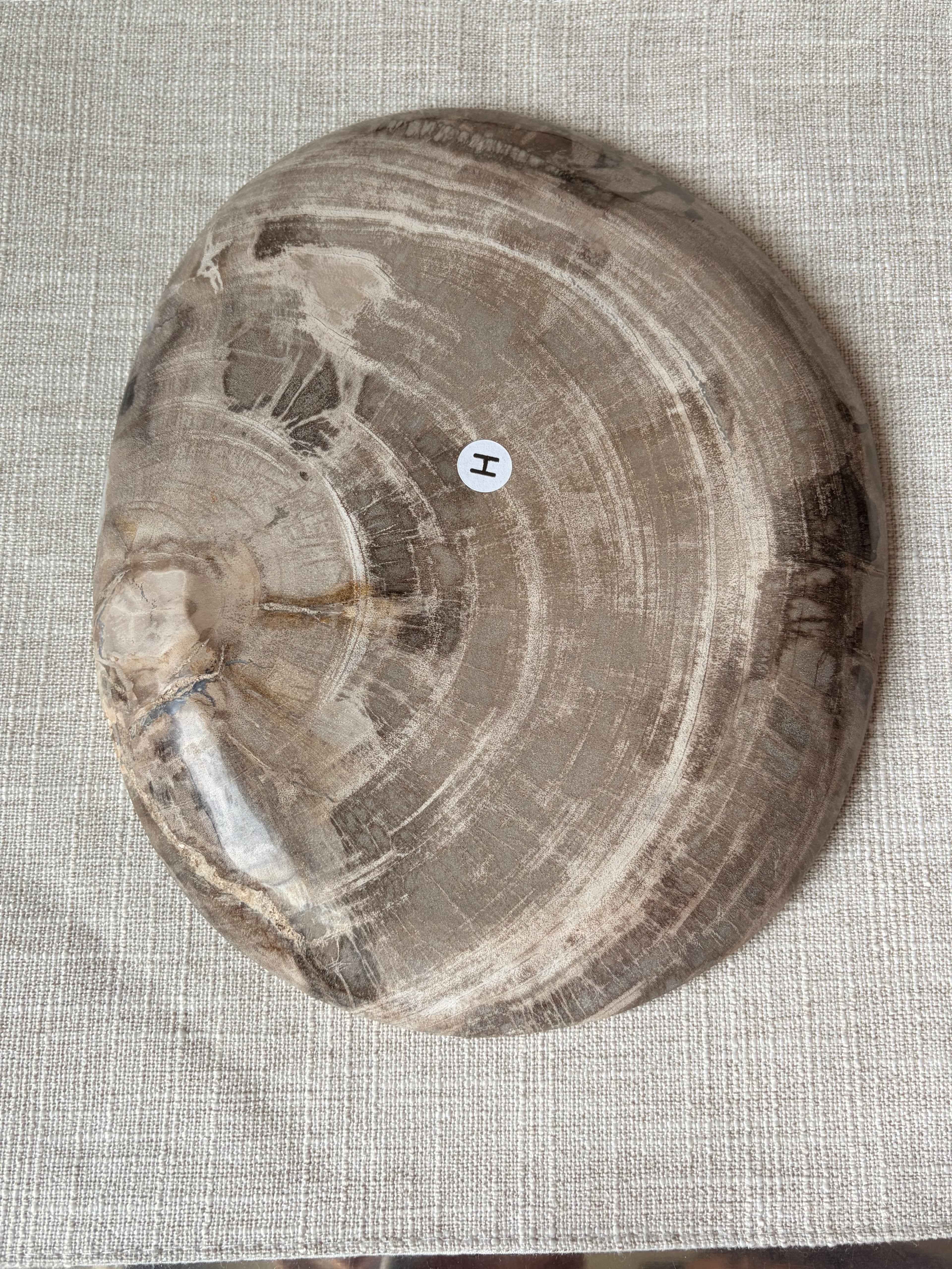 Petrified Wood Plate (H)