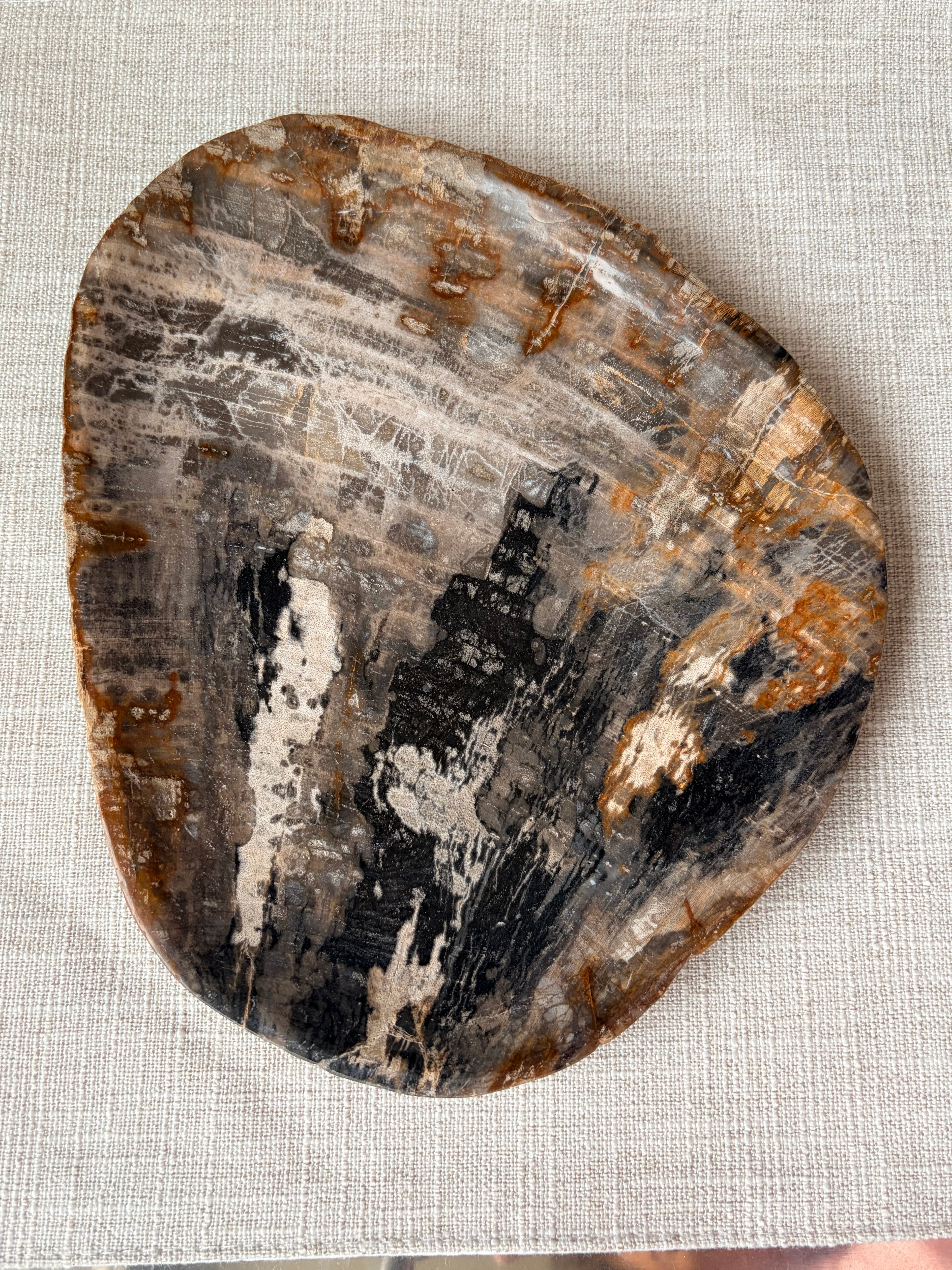 Petrified Wood Plate (I)