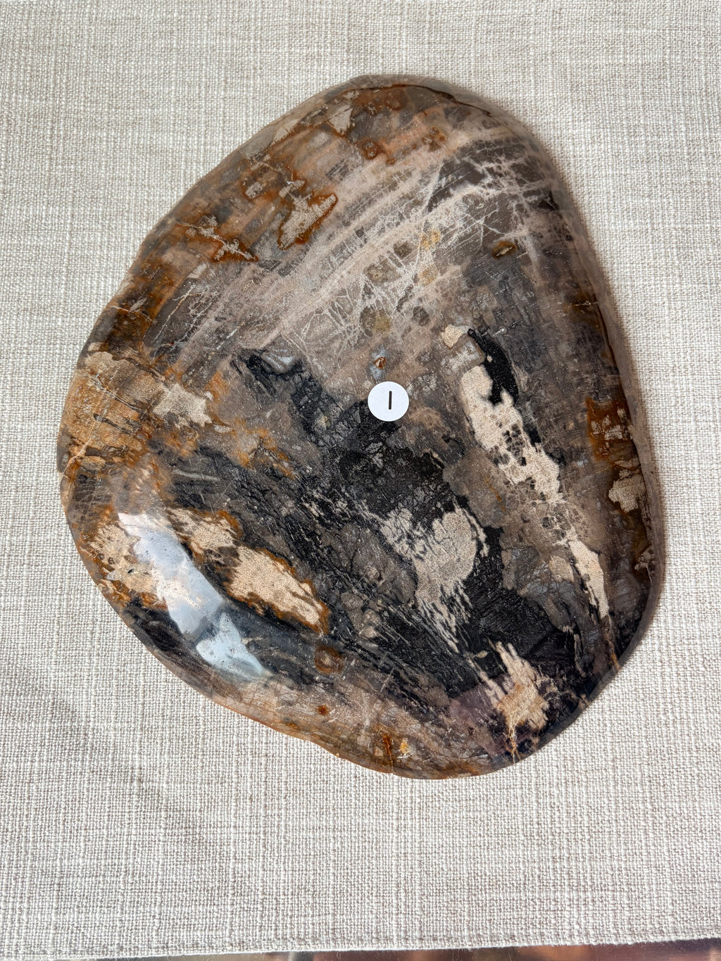 Petrified Wood Plate (I)